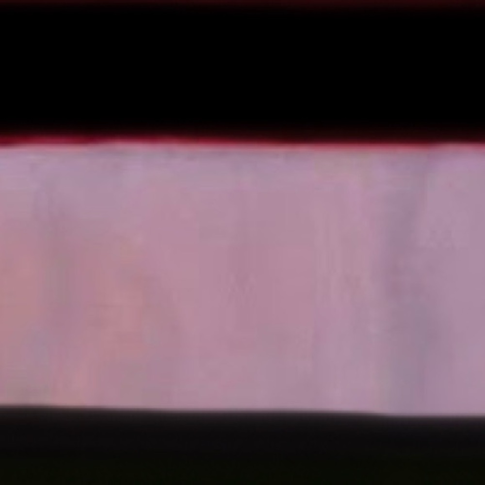 Pashmina scarves
